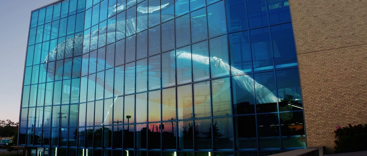 1819 Innovation Hub building with an image of a whale projected onto a window